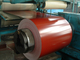 PPGI di alta qualità bobina di acciaio galvanizzato laminato a caldo 1 mm 2 mm Spessore 300 mm 500 mm Larghezza per l'industria